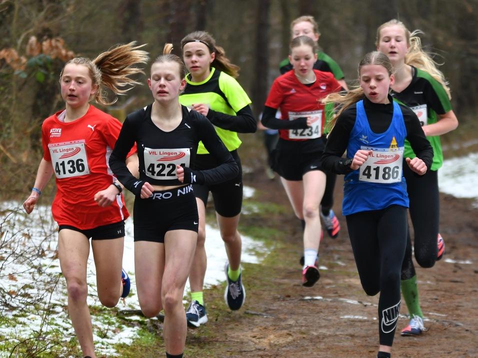 Gruppe von jungen Läuferinnen in Sportbekleidung bei einem Wettkampf im Wald, einige mit Startnummern.
