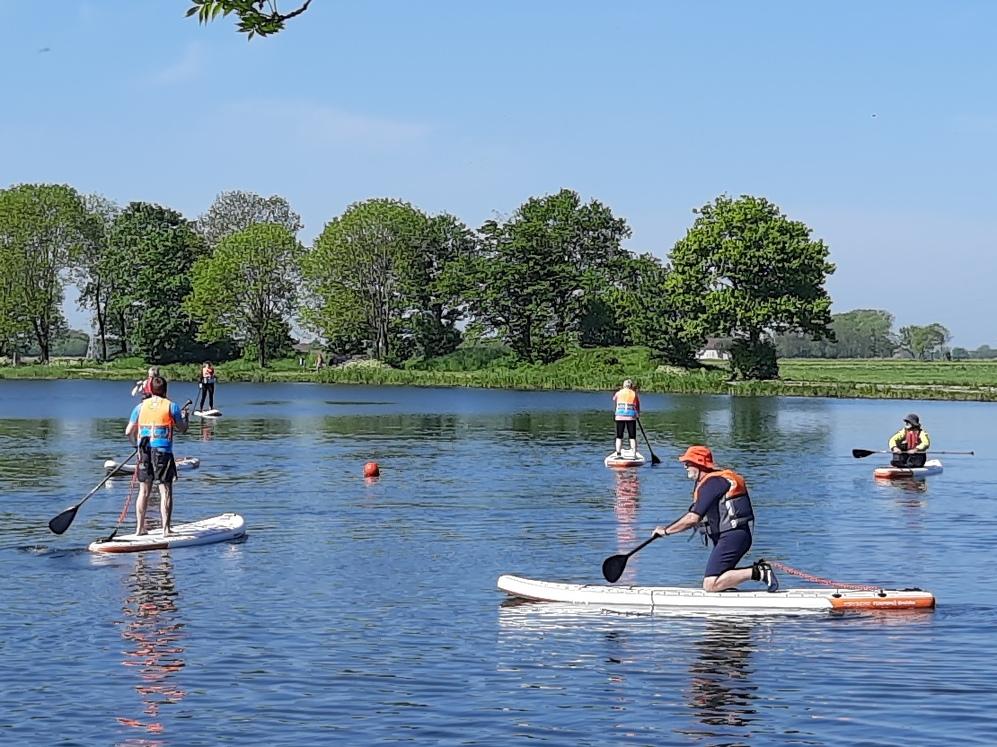Mehrere Personen paddeln auf Stand-Up-Paddle-Boards auf einem ruhigen Gew&auml;sser, umgeben von gr&uuml;ner Natur und klarem Himmel.