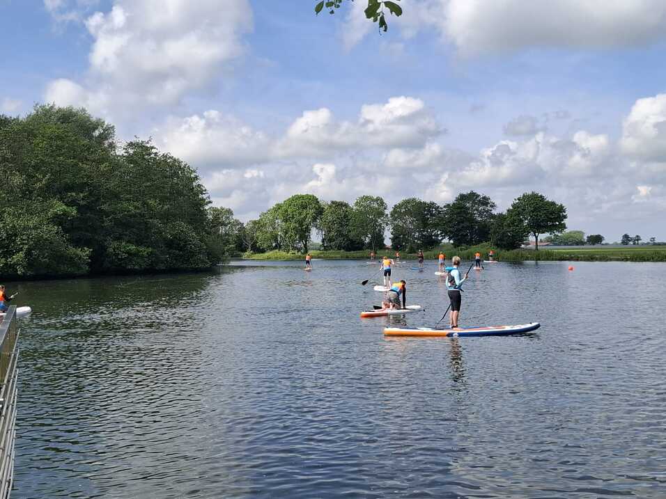 Mehrere Personen stehen auf SUP-Boards auf einem ruhigen See mit Bäumen am Ufer.