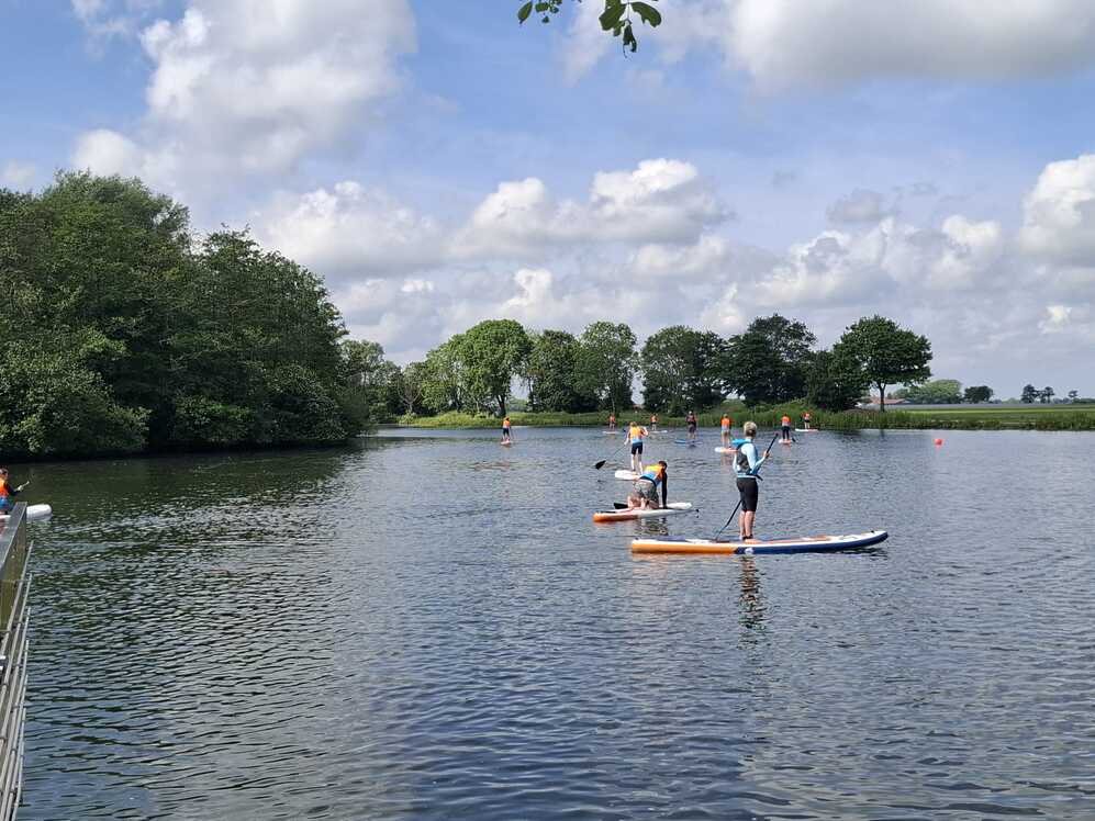 Mehrere Personen stehen auf SUP-Boards auf einem ruhigen See mit B&auml;umen am Ufer.