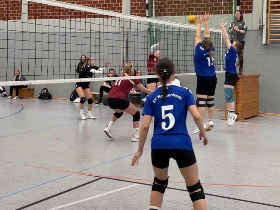 Ein Volleyballspiel in einer Halle, mit Spielern, die aktiv um den Ball k&auml;mpfen.