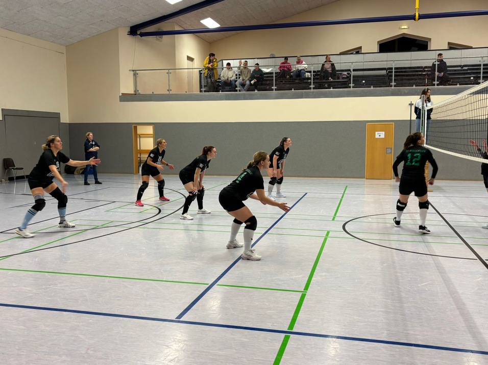 Volleyballteam spielt auf einem Hallenplatz, Athleten in dynamischen Posen w&auml;hrend eines Spiels.