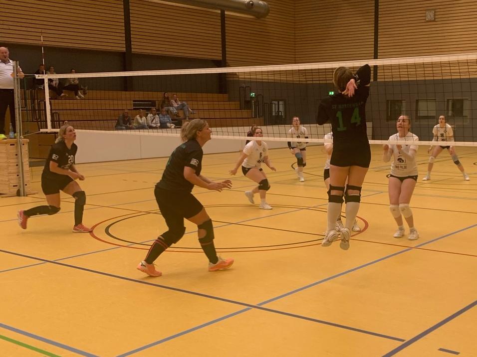 Sporthalle w&auml;hrend eines Volleyballturniers, Spieler in Aktion und Zuschauer auf den Trib&uuml;nen.